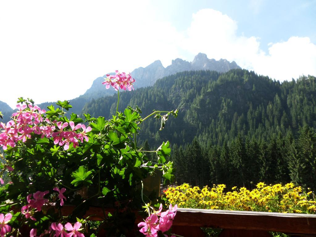Affittacamere Pizzeria Marmolada Rocca Pietore Extérieur photo